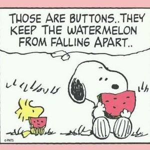 Meet your Posher, Patty